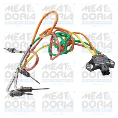 Sensor, exhaust gas temperature